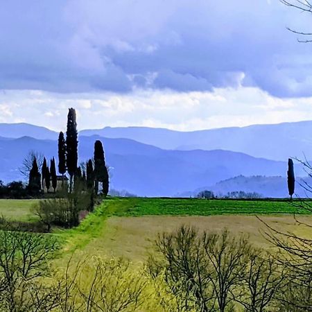 Tuscan Hills Near Florence - Stone House 비키오 외부 사진