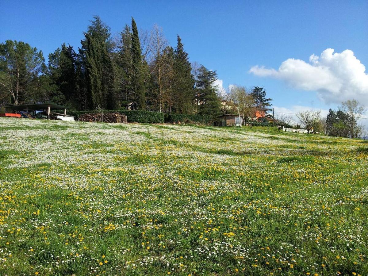 Tuscan Hills Near Florence - Stone House 비키오 외부 사진