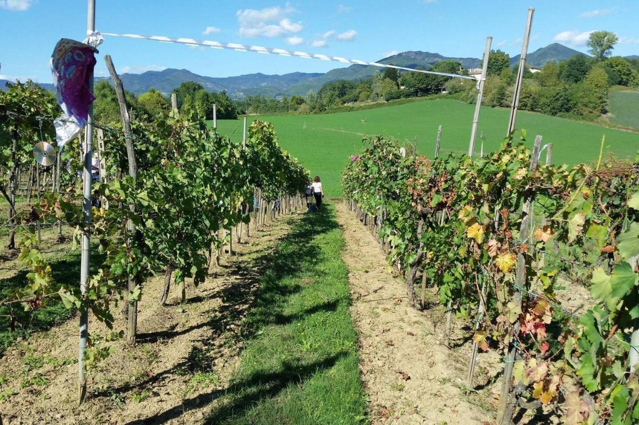 Tuscan Hills Near Florence - Stone House 비키오 외부 사진